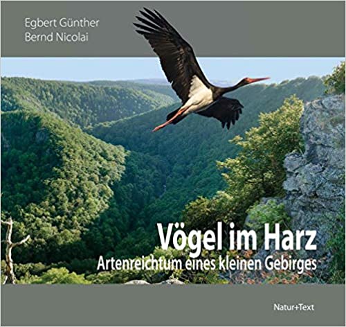 Vgel im Harz: Artenreichtum eines kleinen Gebirges